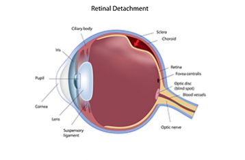 mandell retina center